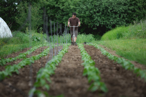 Culitver son potager bio